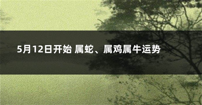5月12日开始 属蛇、属鸡属牛运势