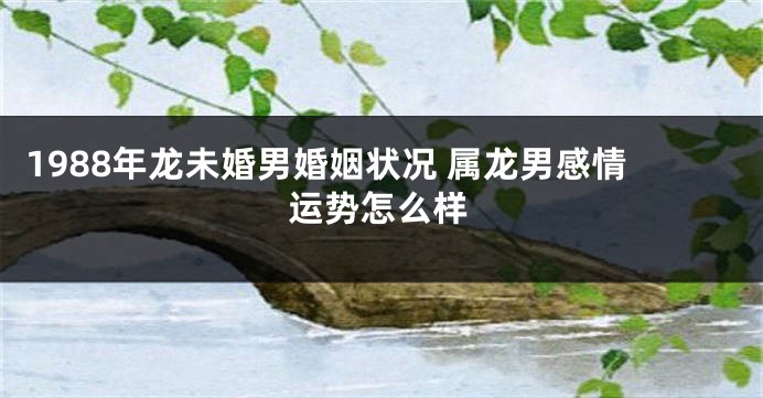 1988年龙未婚男婚姻状况 属龙男感情运势怎么样