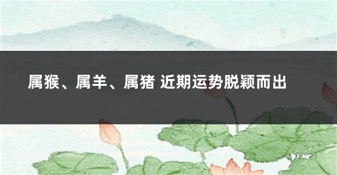 属猴、属羊、属猪 近期运势脱颖而出