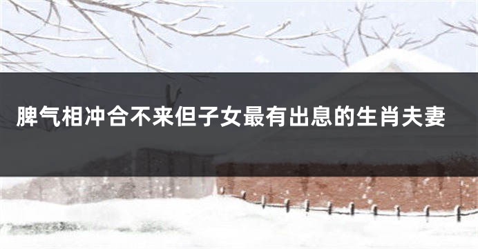 脾气相冲合不来但子女最有出息的生肖夫妻