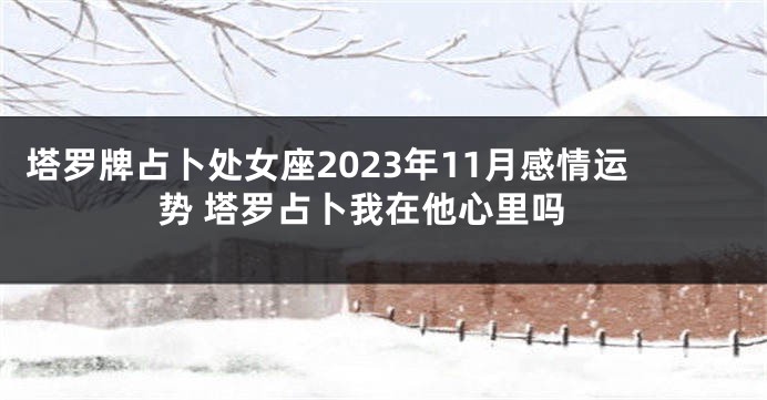 塔罗牌占卜处女座2023年11月感情运势 塔罗占卜我在他心里吗