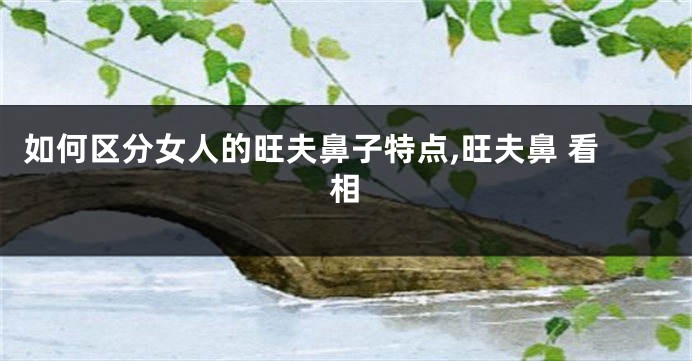 如何区分女人的旺夫鼻子特点,旺夫鼻 看相