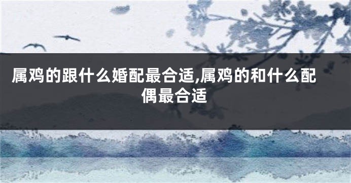 属鸡的跟什么婚配最合适,属鸡的和什么配偶最合适
