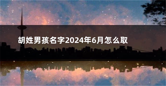 胡姓男孩名字2024年6月怎么取