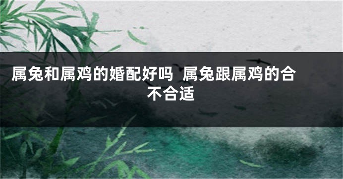 属兔和属鸡的婚配好吗  属兔跟属鸡的合不合适