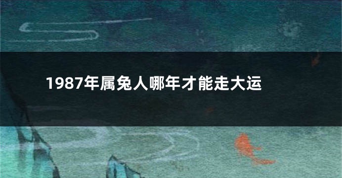 1987年属兔人哪年才能走大运