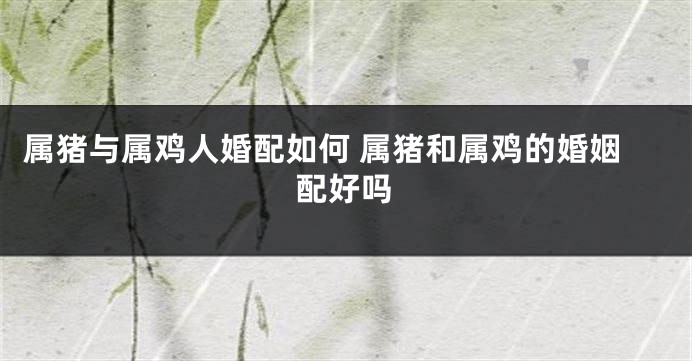 属猪与属鸡人婚配如何 属猪和属鸡的婚姻配好吗