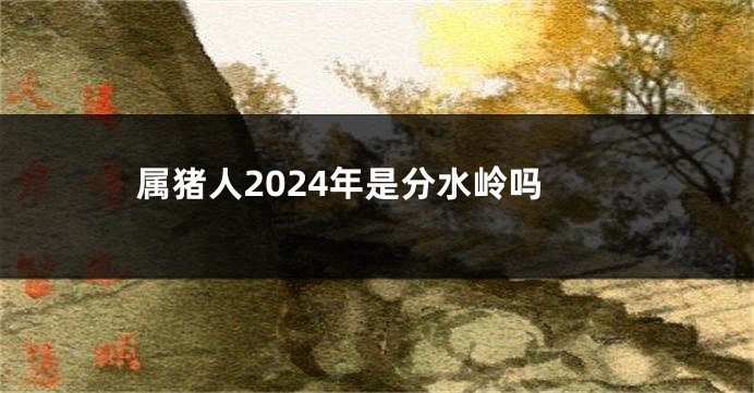 属猪人2024年是分水岭吗