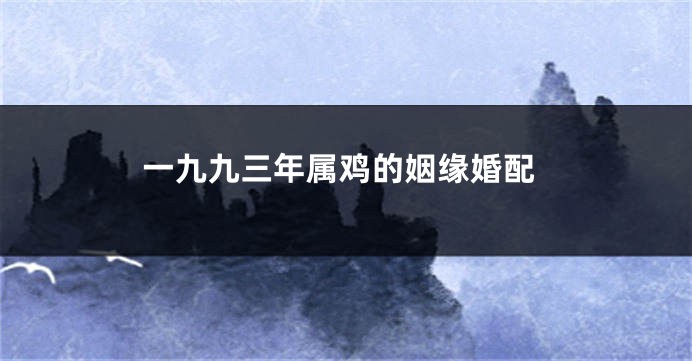 一九九三年属鸡的姻缘婚配