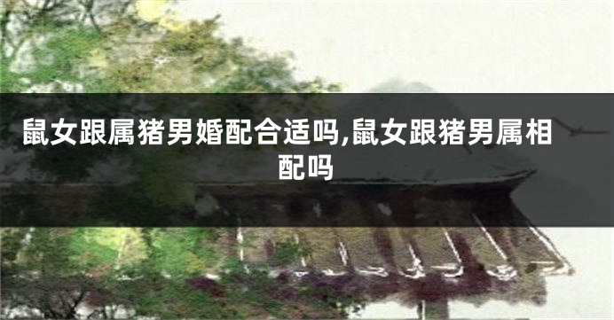 鼠女跟属猪男婚配合适吗,鼠女跟猪男属相配吗