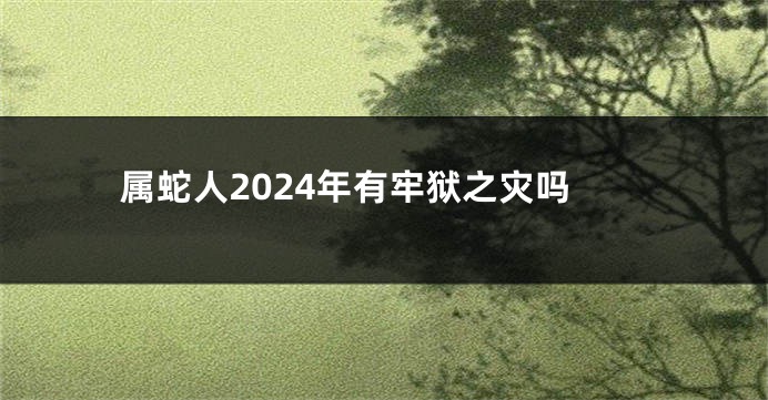 属蛇人2024年有牢狱之灾吗