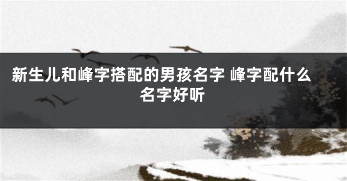 新生儿和峰字搭配的男孩名字 峰字配什么名字好听