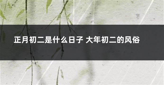 正月初二是什么日子 大年初二的风俗