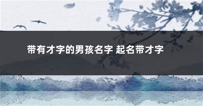 带有才字的男孩名字 起名带才字