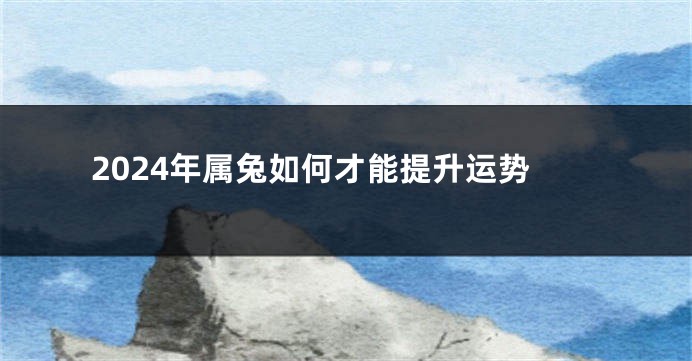 2024年属兔如何才能提升运势