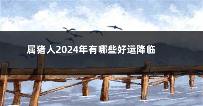 属猪人2024年有哪些好运降临