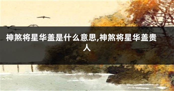 神煞将星华盖是什么意思,神煞将星华盖贵人