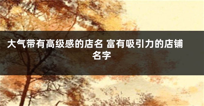 大气带有高级感的店名 富有吸引力的店铺名字