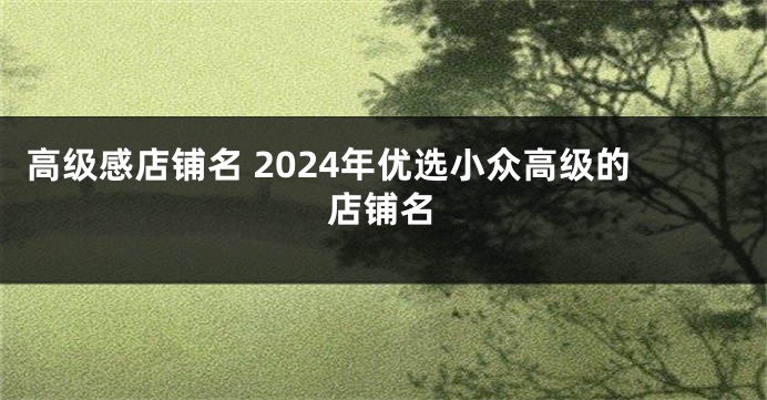 高级感店铺名 2024年优选小众高级的店铺名