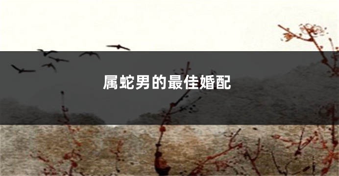 属蛇男的最佳婚配