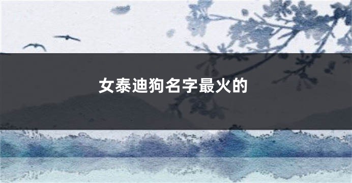 女泰迪狗名字最火的