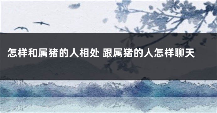 怎样和属猪的人相处 跟属猪的人怎样聊天