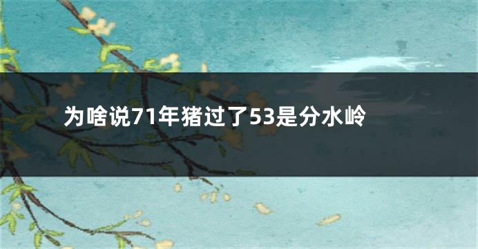 为啥说71年猪过了53是分水岭