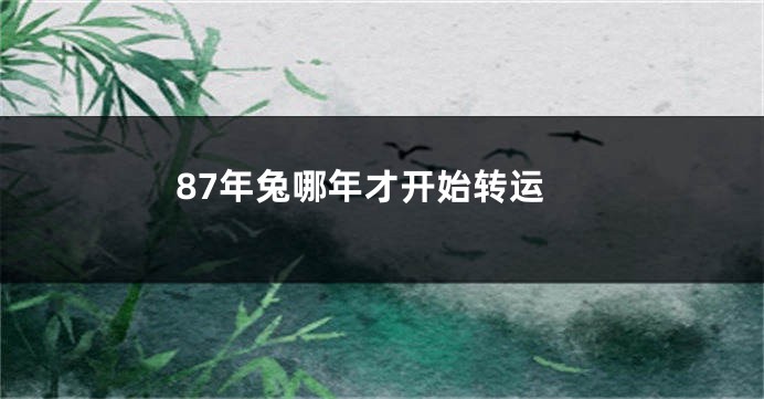87年兔哪年才开始转运