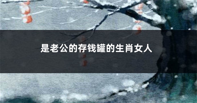 是老公的存钱罐的生肖女人