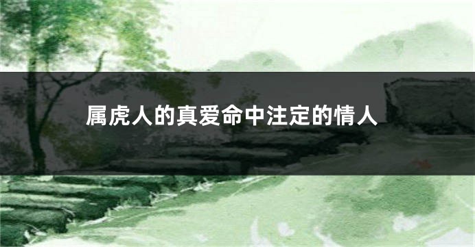 属虎人的真爱命中注定的情人