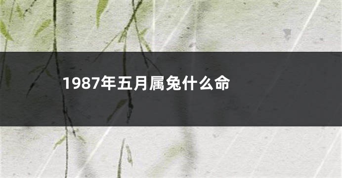 1987年五月属兔什么命 