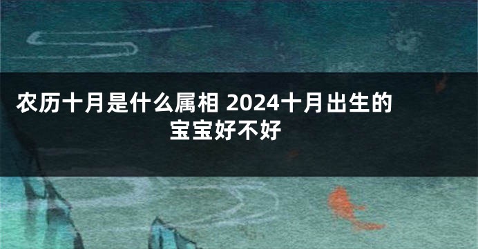 农历十月是什么属相 2024十月出生的宝宝好不好 