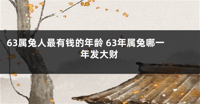 63属兔人最有钱的年龄 63年属兔哪一年发大财
