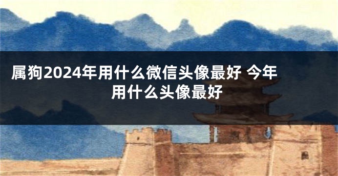 属狗2024年用什么微信头像最好 今年用什么头像最好