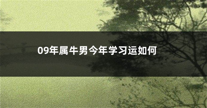 09年属牛男今年学习运如何