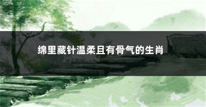 绵里藏针温柔且有骨气的生肖