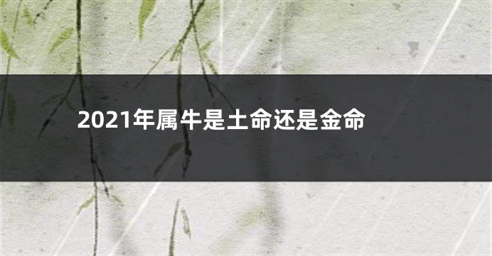 2021年属牛是土命还是金命