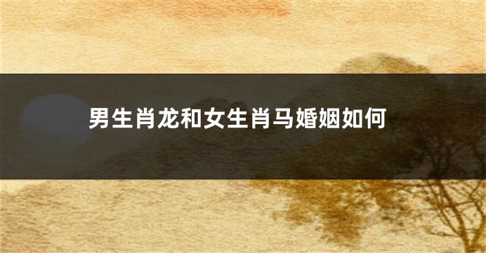 男生肖龙和女生肖马婚姻如何