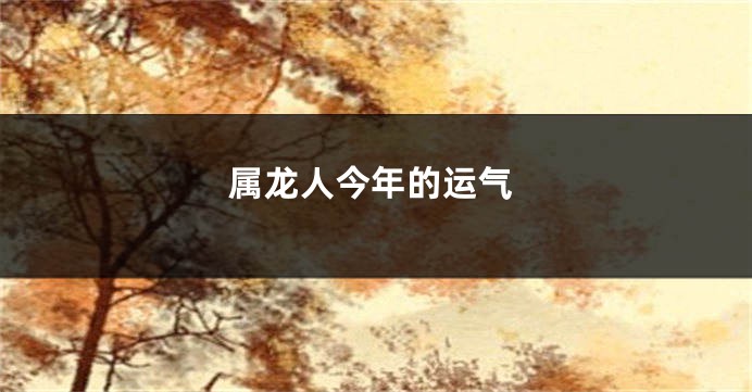 属龙人今年的运气