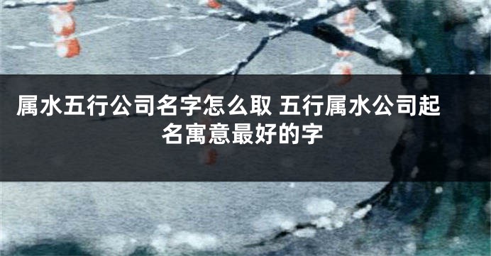 属水五行公司名字怎么取 五行属水公司起名寓意最好的字