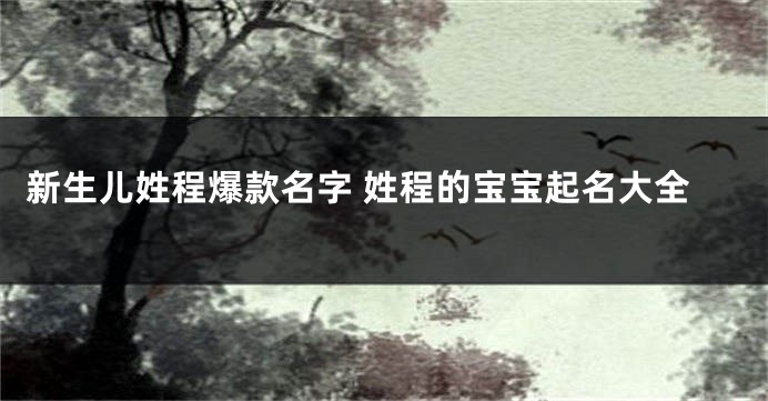 新生儿姓程爆款名字 姓程的宝宝起名大全