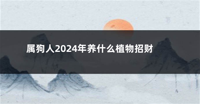 属狗人2024年养什么植物招财