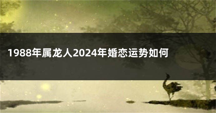 1988年属龙人2024年婚恋运势如何
