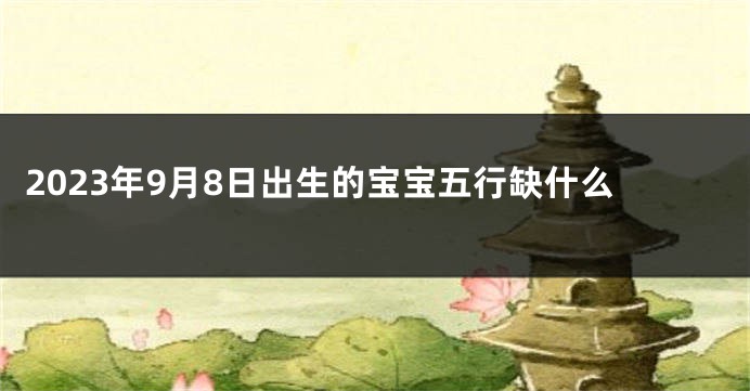 2023年9月8日出生的宝宝五行缺什么
