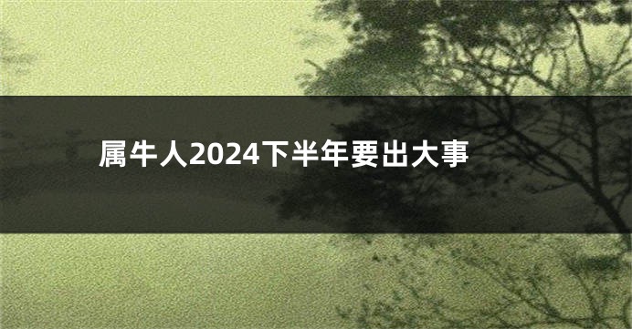 属牛人2024下半年要出大事
