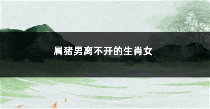 属猪男离不开的生肖女