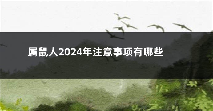 属鼠人2024年注意事项有哪些
