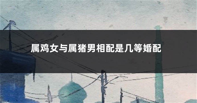 属鸡女与属猪男相配是几等婚配