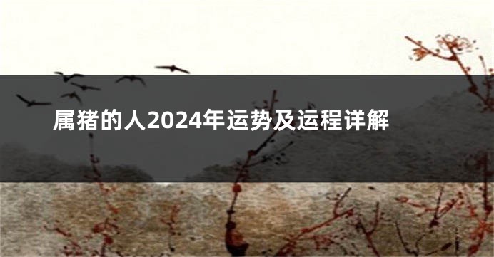 属猪的人2024年运势及运程详解