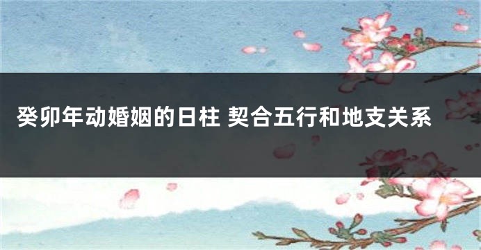 癸卯年动婚姻的日柱 契合五行和地支关系